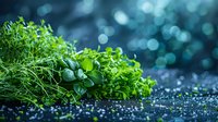 Fresh green herbs bundle with dill parsley and other leafy greens on dark surface with bokeh background for culinary cooking and healthy nutrition concepts.