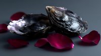Fresh oyster shells on dark background with scattered deep red rose petals creating romantic mood for Valentine's day menu design or seafood restaurant promotion.