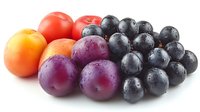 Fresh seasonal fruits with water drops - ripe plums, grapes and apricots on white background, macro food photography for healthy eating concept.