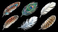Assorted feathers isolated on transparent background, including peacock, eagle, and decorative plumes in brown, blue, white, and gold tones. Ready for clipart, t-shirt design, stickers, sublimation, and print-on-demand projects.