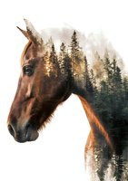 Brown horse head in profile with coniferous forest landscape double exposure effect isolated on white background, suitable for wildlife and nature design projects.