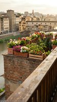 Rooftop garden with blooming flowers in terracotta pots overlooking historic cityscape with river and medieval architecture, ideal for travel and lifestyle content.