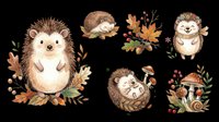 Cute hedgehog clipart set with autumn leaves, mushrooms, and berries, isolated on transparent background. Ready for stickers, t-shirt design, and print on demand.