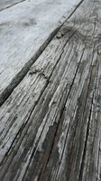 Weathered wooden planks with deep grain texture and natural aging, showing cracks and splits. Close-up detail of rustic timber surface for backgrounds and design projects.
