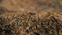 Cracked dry earth surface showing drought conditions with detailed texture patterns and natural brown soil formations in arid landscape environment.