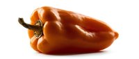 Fresh orange bell pepper isolated on white background, ready for culinary, food photography, and recipe design projects.