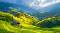 Sunlit terraced rice fields cascade down rolling hills with traditional wooden hut amid lush green landscape and dramatic mountain backdrop under cloudy sky.