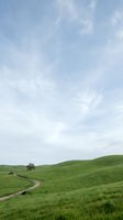 Winding dirt road curves through rolling green hills under soft blue sky with wispy clouds, ideal for rural landscape and nature backgrounds.