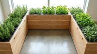 Wooden raised garden bed with various herbs and plants growing in sunlit indoor space, ready for urban gardening and home cultivation projects.