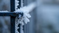 Delicate white frost crystals forming intricate patterns on dark metal fence during cold winter morning with soft blurred background creating peaceful atmosphere.