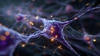 Neuron cell with glowing synapses and neural connections in brain tissue for medical research and neuroscience education concepts.