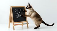 Siamese cat standing on hind legs drawing cat face on blackboard easel against white background, creative pet artwork concept.
