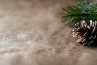Pine cone and evergreen branch on blurred rustic background with copy space, natural winter holiday composition for seasonal greeting cards.