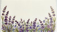 Watercolor lavender flowers border frame on textured paper background for wedding invitations, greeting cards and botanical design projects.