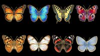 Colorful butterfly collection featuring eight isolated species with orange, blue, yellow, black and red wings on transparent background, ready for clipart, t-shirt design, stickers and print-on-demand projects.