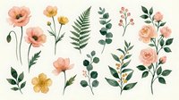 Watercolor botanical elements with coral poppies, roses and green foliage isolated on white background for wedding invitations and floral designs.