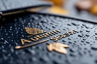 Raindrops on black surface with golden autumn seasonal text and leaf decorative elements, creating moody atmospheric composition for fall marketing materials.