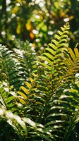 Sunlit fern fronds with vibrant yellow-green foliage and unfurling fiddleheads, surrounded by soft bokeh background. Ideal for nature, botanical, and garden design projects.