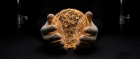 Hands holding glowing wireframe brain representing artificial intelligence, innovation, creativity, and futuristic technology concepts for business presentations.