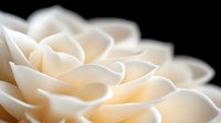 Delicate cream-colored rose petals create soft layered curves and shadows against dark background, showcasing natural floral patterns and textures in macro photography.