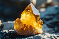 Natural citrine crystal cluster with golden yellow color and multiple points illuminated by sunlight on stone surface, displaying raw mineral formation and transparency.