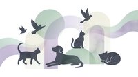 Silhouettes of cats and birds in peaceful scene with soft pastel geometric shapes creating modern minimalist composition for pet care designs.