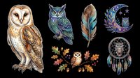 Barn owl, horned owl, feather, crescent moon with owl, dreamcatcher, and autumn branch with owl isolated on transparent background. Ready for t-shirt design, clipart, stickers, sublimation, and print-on-demand products.