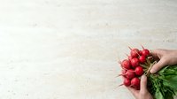 Fresh red radishes with green stems held in hand against neutral stone surface for cooking and food styling projects.