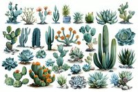 Collection of watercolor desert plants featuring various cacti, succulents, and flowering desert flora arranged on white background for botanical illustration.