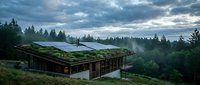 Modern eco-friendly house with green living roof surrounded by forest landscape under dramatic cloudy sky. Sustainable architecture concept.