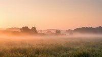 Misty rural landscape at sunrise with golden light filtering through fog over meadow and distant trees.