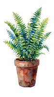 Watercolor fern plant in terracotta pot isolated on white background, ready for design projects, home decor, botanical illustrations, and interior decoration use.