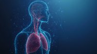 Glowing digital human torso showing respiratory system with lungs highlighted in red, particle effect on dark blue background for medical visualization.