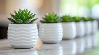 Green succulent plants in white ceramic wave pattern pots arranged in diminishing perspective row on wooden surface against blurred background, modern minimal decor.