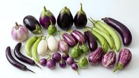 Fresh purple and green eggplant varieties arranged on white background showcasing diverse shapes and sizes for healthy cooking and farm market displays.