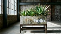 Concrete planter with hello text holding agave plants in a rustic industrial loft with brick walls and natural light.