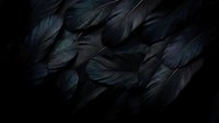 Dark black feathers arranged in overlapping pattern creating moody textural background for luxury design projects and gothic themed creative work.