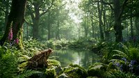 Serene forest stream flowing through lush woodland with moss-covered rocks, towering trees, and dappled sunlight filtering through canopy foliage.