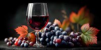 Glass of red wine with fresh grapes and autumn leaves on rustic wooden table. Seasonal harvest concept for winery, restaurant menus, food blogs.