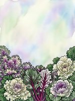 Watercolor garden scene with purple and cream peonies, burgundy cabbage leaves, and soft pastel sky in lavender, green, and yellow tones. Botanical illustration for home decor, greeting cards, and design projects.