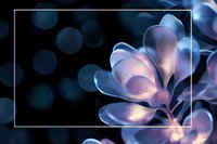 Ethereal glowing flower petals in soft purple and blue tones against dark background with bokeh lights, creating dreamy atmospheric nature macro photography.