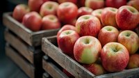 Fresh ripe red apples in rustic wooden crates at farmers market. Natural organic produce with textured skin and rich color for healthy eating.