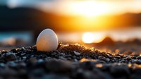 Single white egg nestled in dark soil against dramatic golden sunset background, creating powerful metaphor for new beginnings, hope and potential in nature.