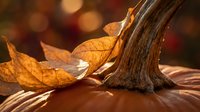 Autumn pumpkin with golden leaves and wooden stem in warm sunlight creating cozy fall harvest atmosphere for seasonal decorations and thanksgiving designs.