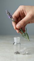 Male hand holding fresh lavender flowers above glass bottle with dried lavender buds spilling out, aromatherapy and herbal wellness concept for natural beauty and spa products.