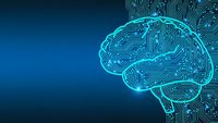 Digital brain with circuit patterns on blue background for artificial intelligence and technology concepts.