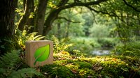 Wooden cube with green leaf symbol on moss in enchanted forest setting with natural sunlight filtering through trees creating magical woodland atmosphere.