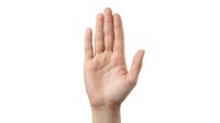 Human hand showing open palm in stop gesture on white background isolated for design and communication concepts.