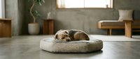 Small terrier dog sleeping peacefully on a round fluffy pet bed in a modern minimalist concrete interior with natural light.