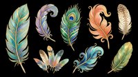 Colorful decorative feathers set with gold accents, isolated on transparent background. Great for stickers, t-shirt design, clipart, sublimation, and print on demand projects.